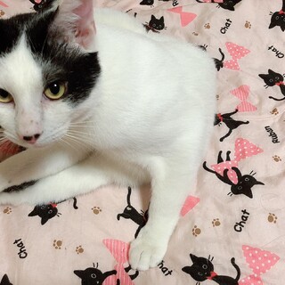 甘えん坊なライくん