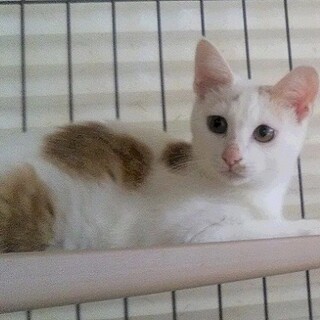 ひとりぼっちの☆アロンくん☆