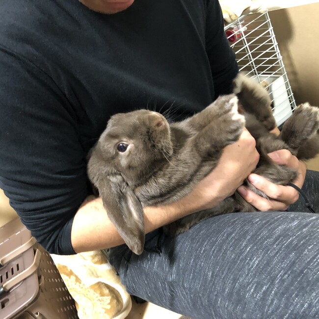 あかあおむらさきのカバー写真