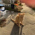 優しいご家族に迎えられました！