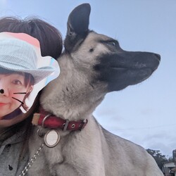 桃の助あさんぽ