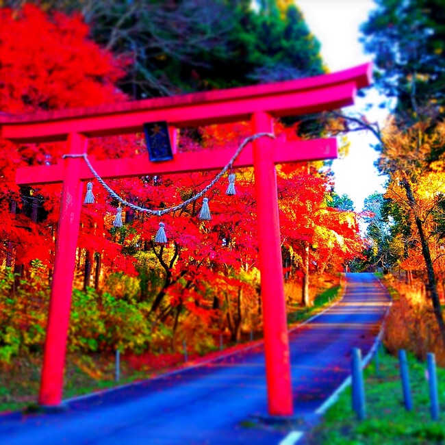 嶽内のカバー写真