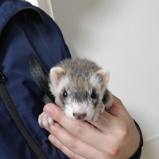 温かい家庭にお迎えいただけないでしょうか