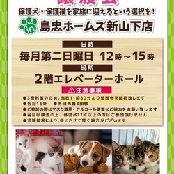 おーあみ避難所譲渡会in新山下