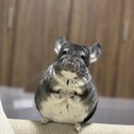 決まりました！