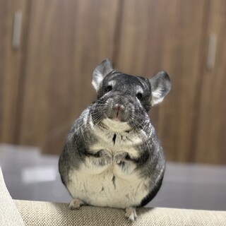 決まりました！