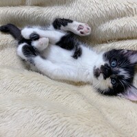 ウィニー