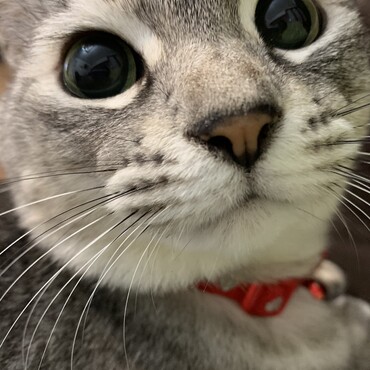 の写真