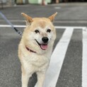 新たな家族を探しています。