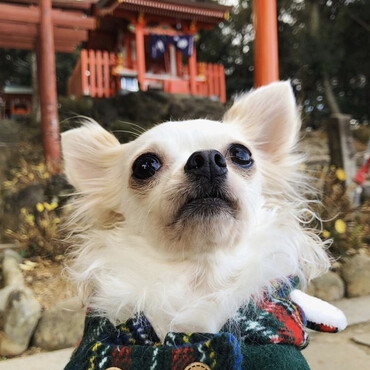 祐徳稲荷神社にて⛩
