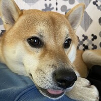 そら