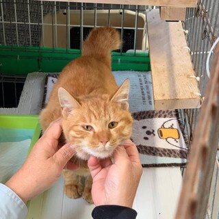 【里親決定】ありがとうございました！