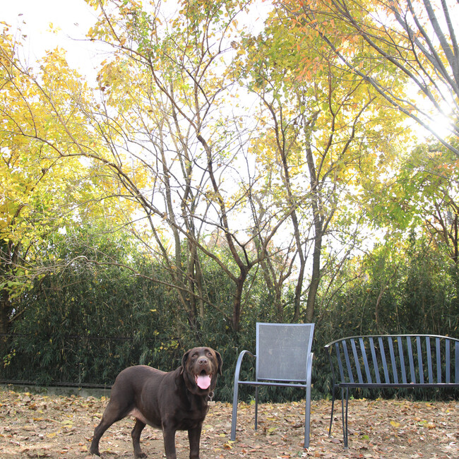 山口大河のカバー写真