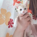 おめめくりくりイケメン君