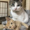 の写真