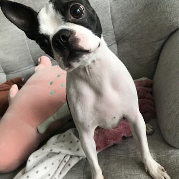 の写真