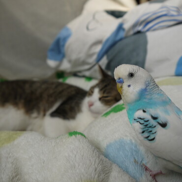 の写真