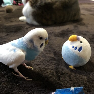 の写真