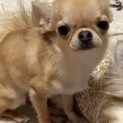 多数のご応募を頂いてるため一時中断