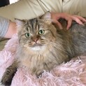 急募です！