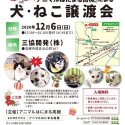 アニマルはにまる高槻による犬・猫譲渡会
