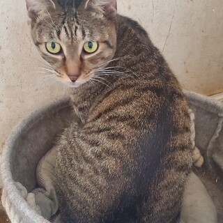 少し怖がりな甘えん坊☆かんたくん☆