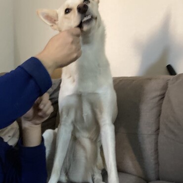 おやつ大好きです