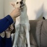 おやつ大好きです