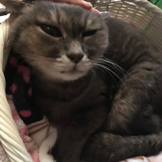 両目の視力がありませんが、怪我から復活！