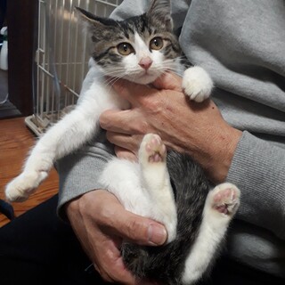 恥ずかしひょっこりはん！！逞都(タクト)くん