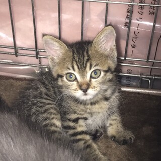 人が大好きなムッチー君