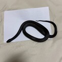 メキシカンブラックキングスネーク
