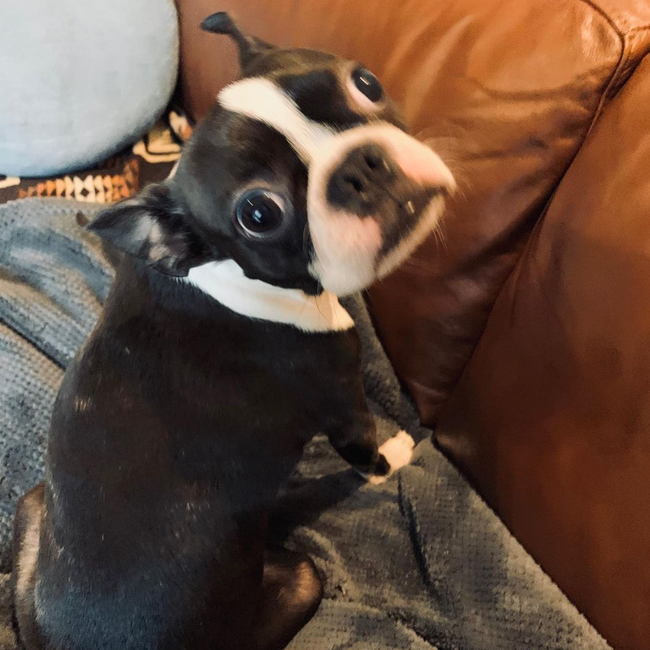 ysatoshiのカバー写真