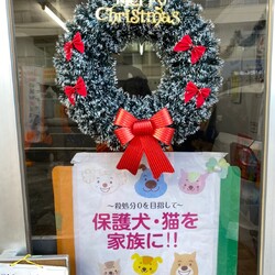 waKワク 犬猫譲渡会