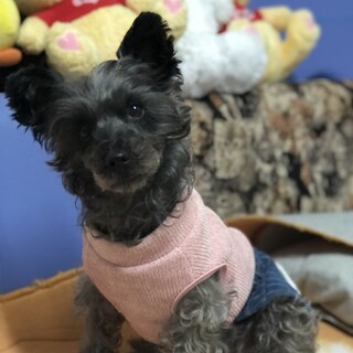 ステキなご縁をなりました♡