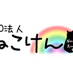 ねこけんオンラインセミナー「溝上に聞け！」 #2 サムネイル3