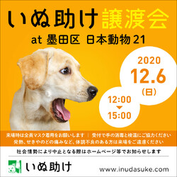 いぬ助け　譲渡会