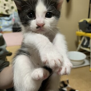 少し臆病な男の子!!