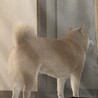 ネネ1116
