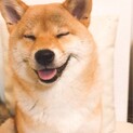 動画テスト用