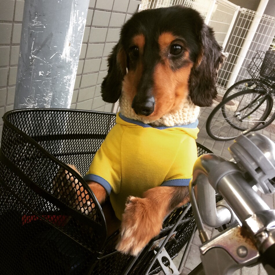 将大(まさひろ)のカバー写真