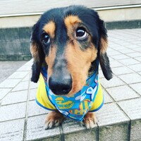 将大(まさひろ)