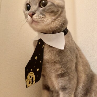 ハロウィンなのでおめかししてまし