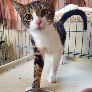 穏やかな甘えん坊☆ますやくん☆