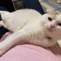 ☆超甘えん坊で癒される！男の子☆