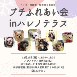 プチふれあい会inハレノテラス