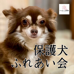 大倉山プチハピふれあい会
