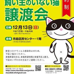 (予約制)中央区飼い主のいない猫譲渡会(第29回)