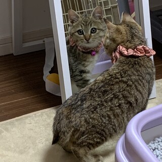トライアル決まりました❣️