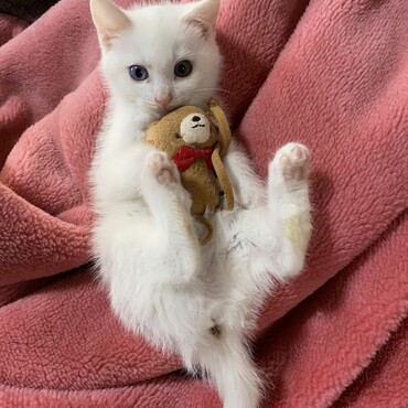 の写真